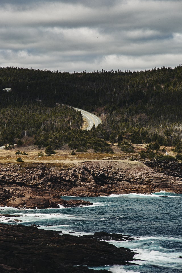 The road leading to Cape Spear