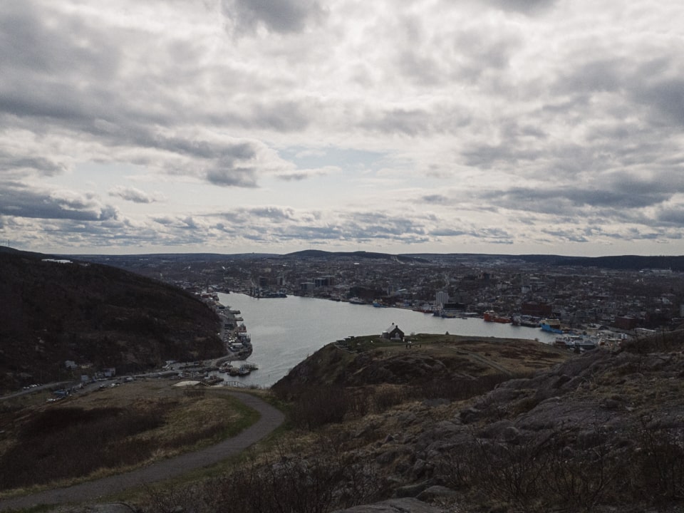 Overlooking the harbour from Signal Hill