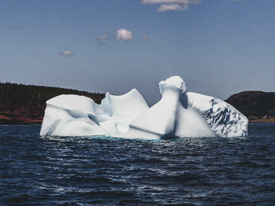 Our first close encounter with an Iceberg in Witless Bay