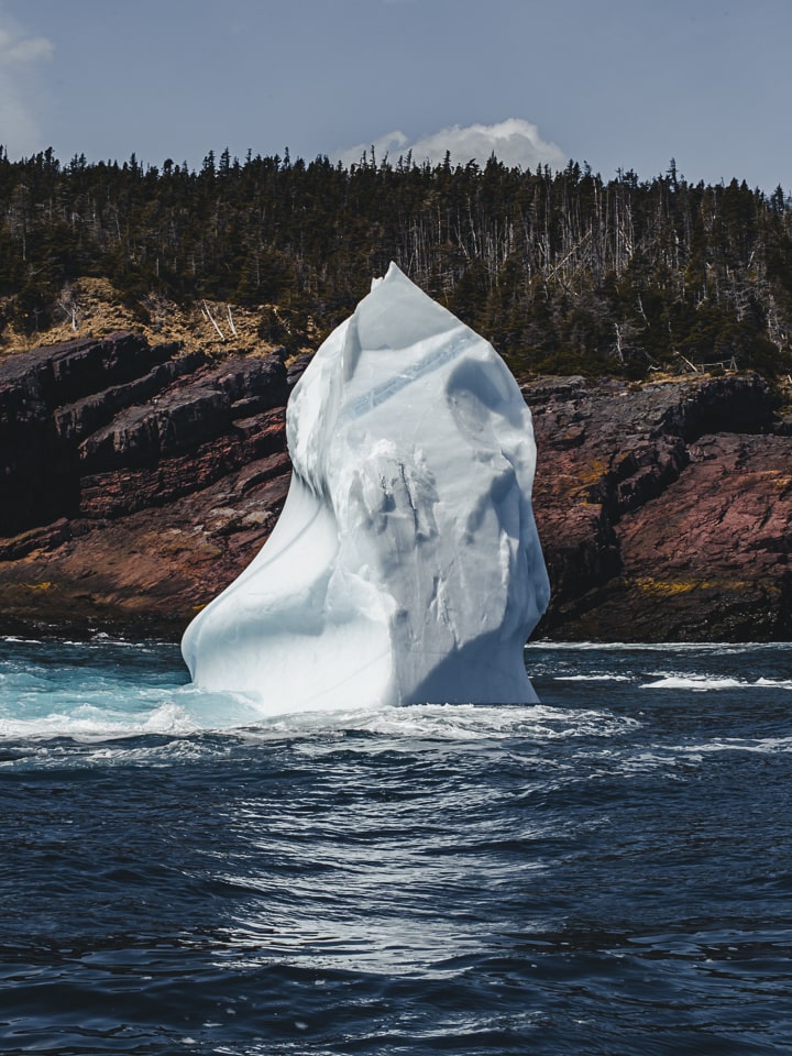 Others stand right like giant columns of ice