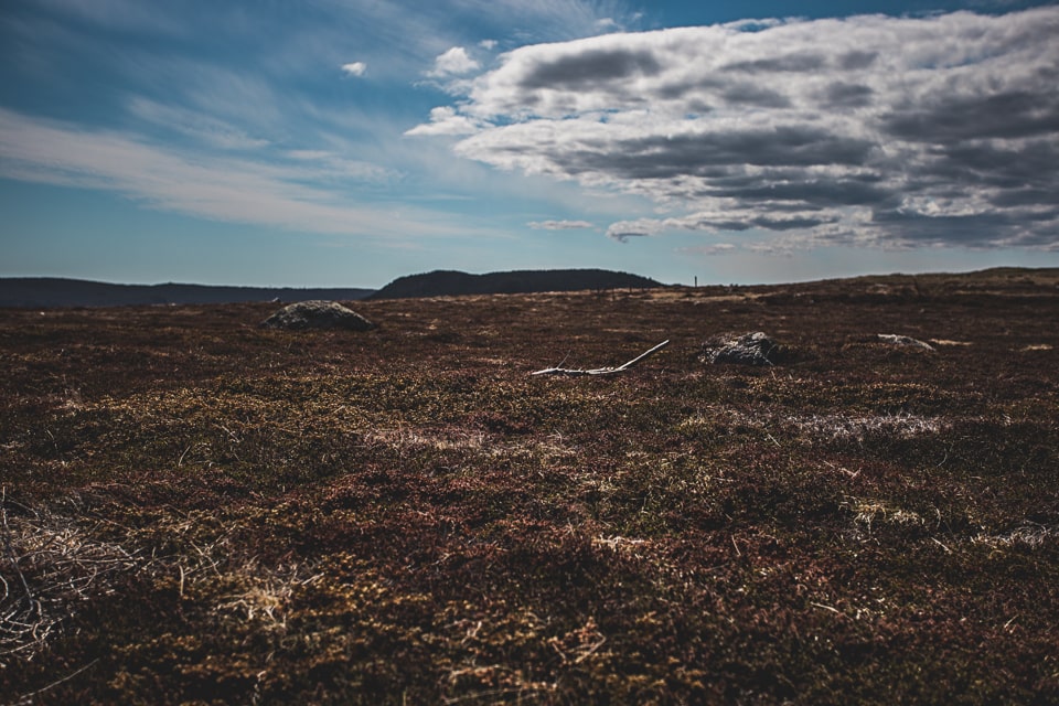 As we reach the southernmost point of Newfoundland, we take some time off the roads