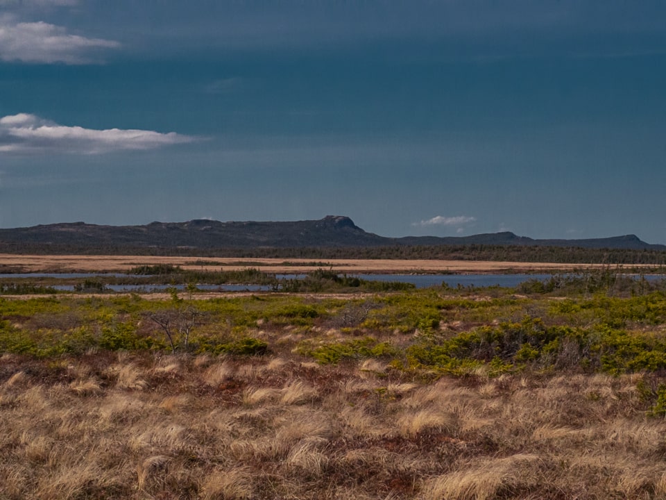 One of the many fascinating landscapes of Newfoundland, where you could believe you're somewhere else in North America