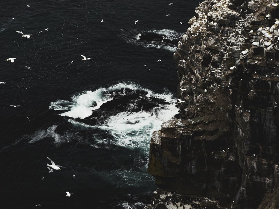 The birds and the waves compete for making the most noise