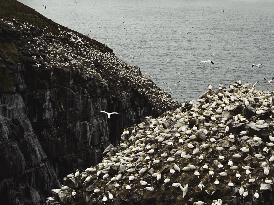 Between us and those birds is a gap 20m wide and 120m high