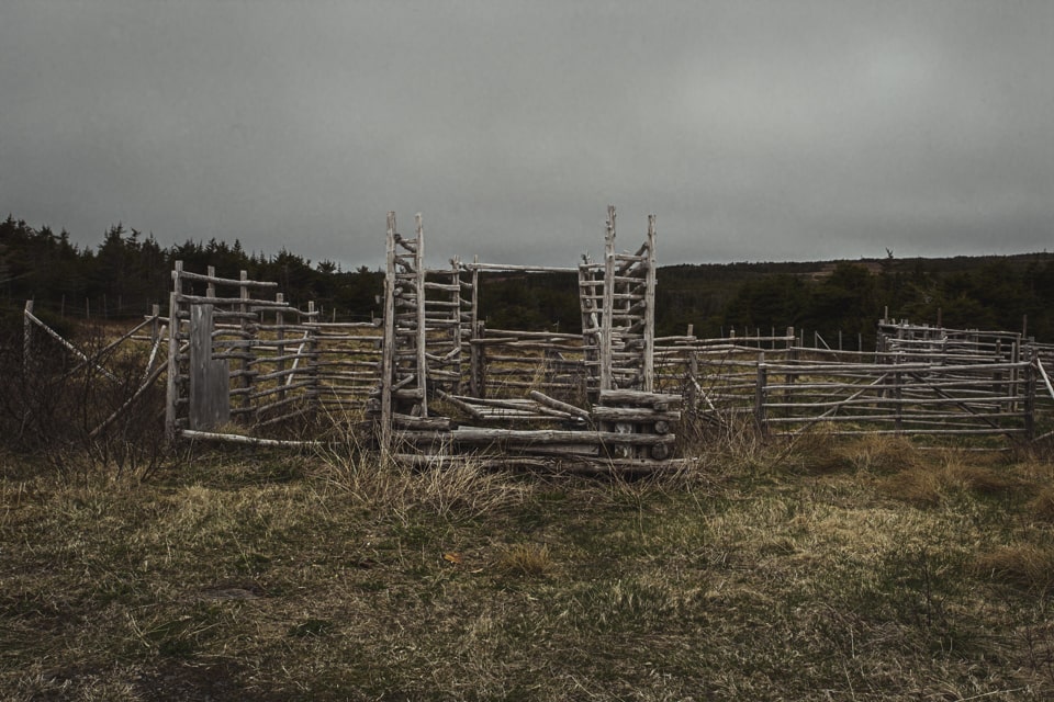Some empty pastures and fences
