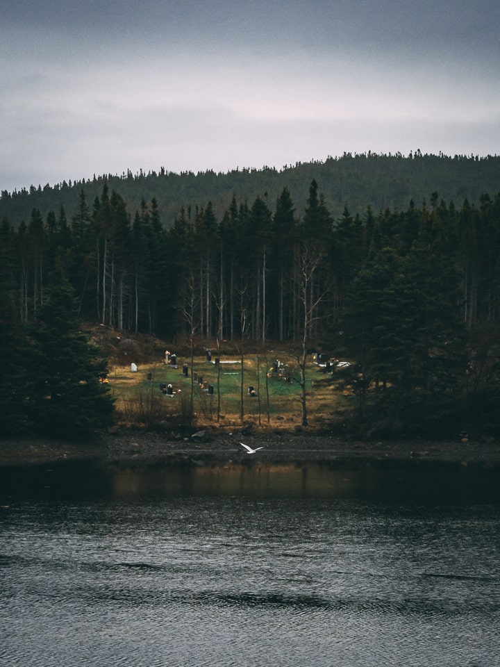 A cemetery in a meadow next to a small bay