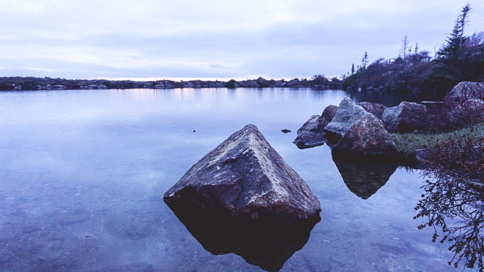 While searching for the famous Caribou herd, we stop along one of the island's numerous ponds