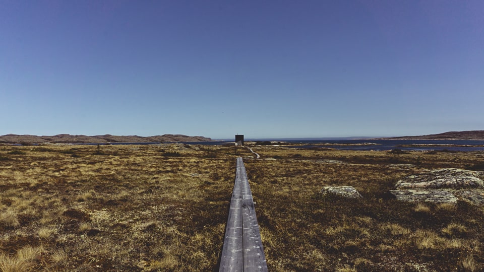 The residencies are isolated by design, planks allow you to walk across the marsh