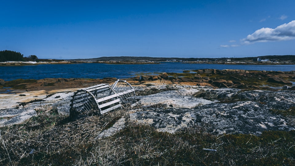 Lobster traps can be found pretty much anywhere in Newfoundland