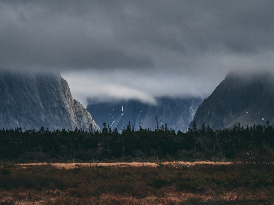 Unfortunately, due to poor weather, this is our only experience of the world's famous Western Brook Pond