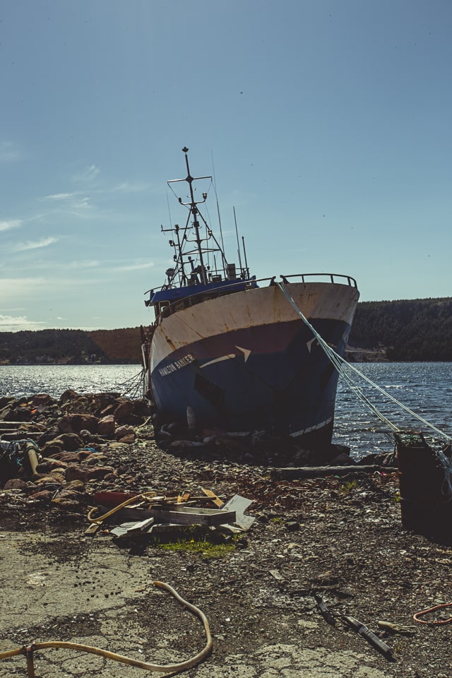 It seems you can find a shipwreck in all the coves of Conception Bay